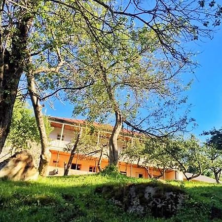 Mushkudiani Manor Hotel Mestia Exterior foto