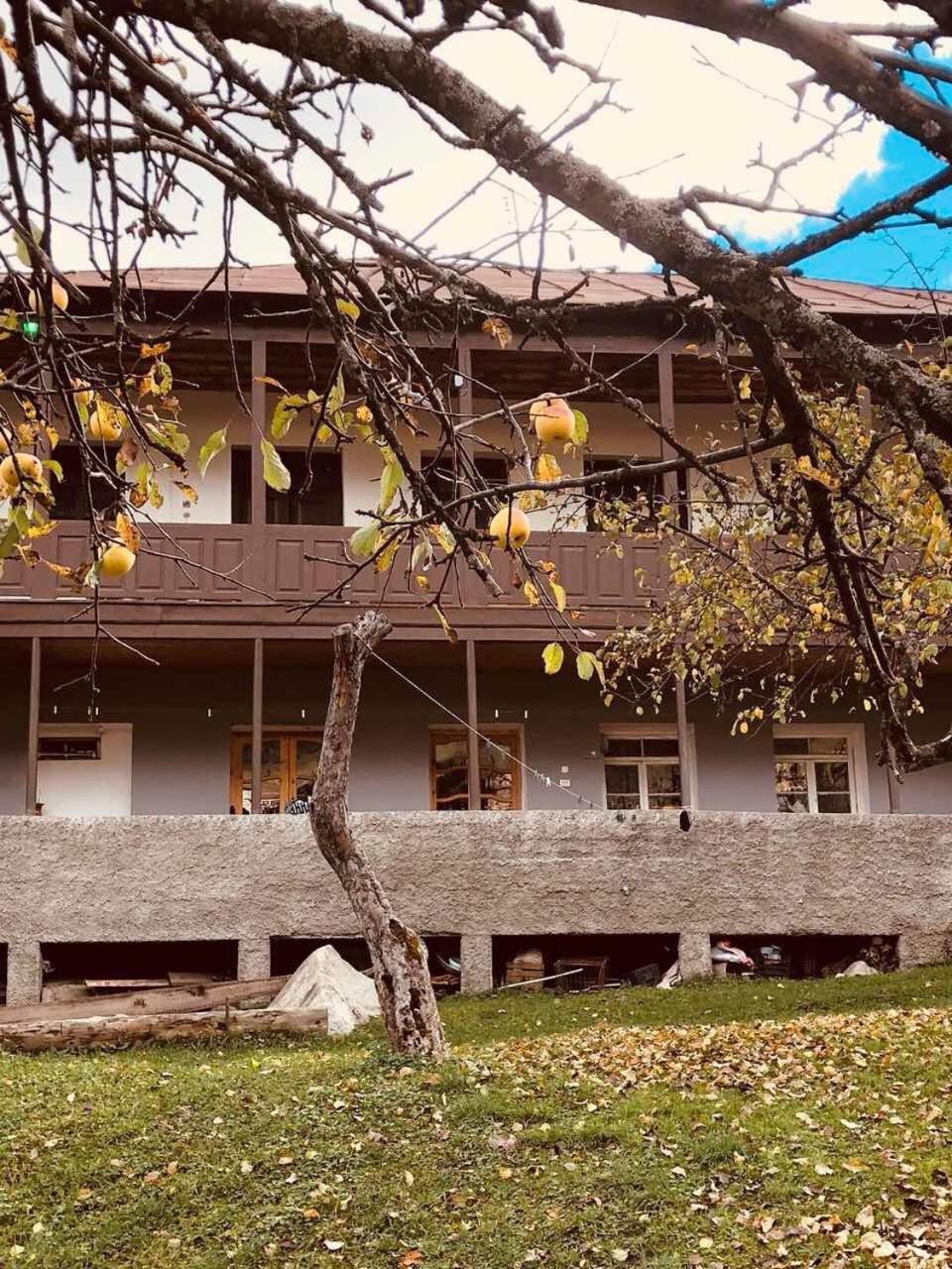 Mushkudiani Manor Hotel Mestia Exterior foto